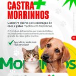 Saúde – Prefeitura de Morrinhos convoca as mulheres para o dia D do exame preventivo